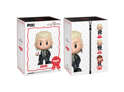The Lost Boys David Collectible, Front & Back of Box 
