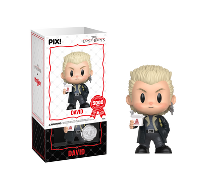 The Lost Boys David Collectible, Front of Box 